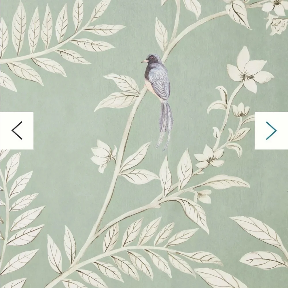 Anthropologie Vining Beauty Floral Green Wall Mural